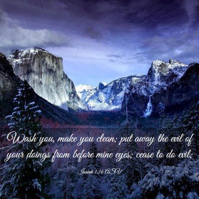 Picture 03 - Isaiah 1:16 ASV - Wash you, make you clean; put away the evil of - Bible Verse Picture