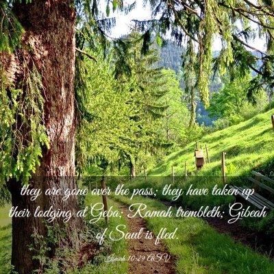 Picture 03 - Isaiah 10:29 ASV - they are gone over the pass; they have taken up - Bible Verse Picture