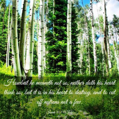Picture 03 - Isaiah 10:7 ASV - Howbeit he meaneth not so, neither doth his heart - Bible Verse Picture