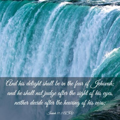 Picture 03 - Isaiah 11:3 ASV - And his delight shall be in the fear of Jehovah; - Bible Verse Picture