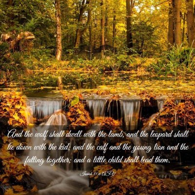Picture 03 - Isaiah 11:6 ASV - And the wolf shall dwell with the lamb, and the - Bible Verse Picture