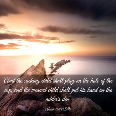 Picture 03 - Isaiah 11:8 ASV - And the sucking child shall play on the hole of - Bible Verse Picture