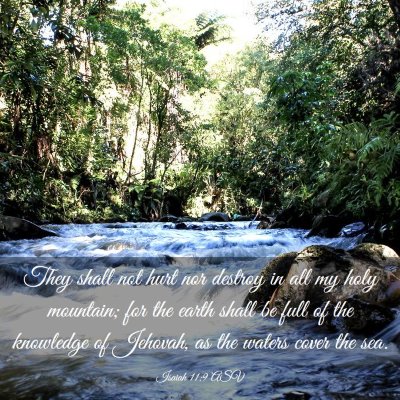 Picture 03 - Isaiah 11:9 ASV - They shall not hurt nor destroy in all my holy - Bible Verse Picture