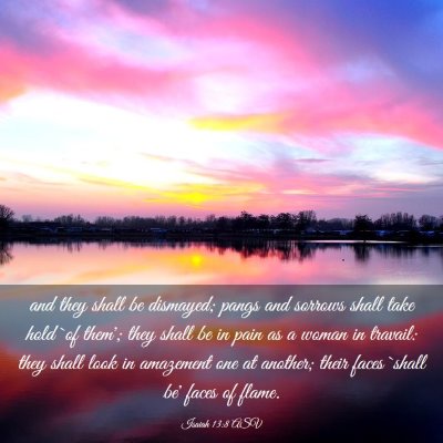Picture 03 - Isaiah 13:8 ASV - and they shall be dismayed; pangs and sorrows - Bible Verse Picture