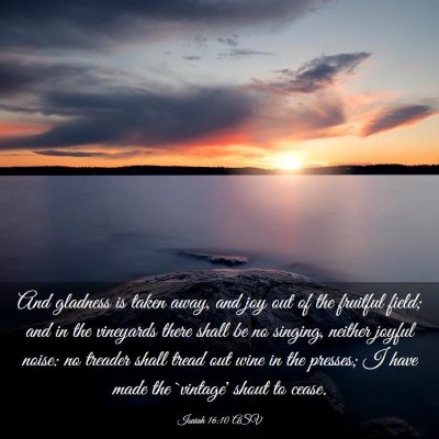 Picture 03 - Isaiah 16:10 ASV - And gladness is taken away, and joy out of the - Bible Verse Picture