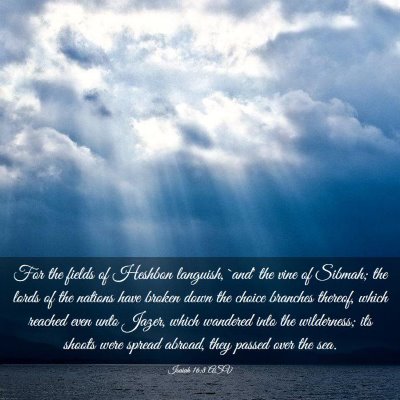 Picture 03 - Isaiah 16:8 ASV - For the fields of Heshbon languish, `and' the - Bible Verse Picture