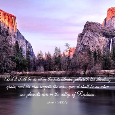 Picture 03 - Isaiah 17:5 ASV - And it shall be as when the harvestman gathereth - Bible Verse Picture