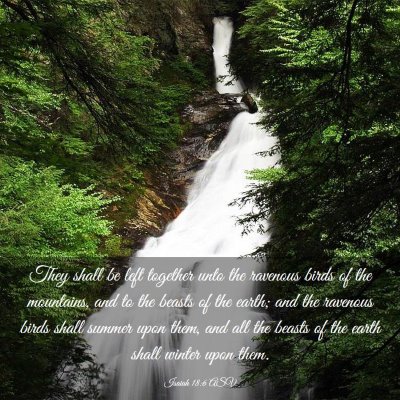 Picture 03 - Isaiah 18:6 ASV - They shall be left together unto the ravenous - Bible Verse Picture