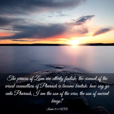 Picture 03 - Isaiah 19:11 ASV - The princes of Zoan are utterly foolish; the - Bible Verse Picture
