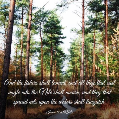 Picture 03 - Isaiah 19:8 ASV - And the fishers shall lament, and all they that - Bible Verse Picture