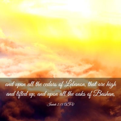 Picture 03 - Isaiah 2:13 ASV - and upon all the cedars of Lebanon, that are high - Bible Verse Picture