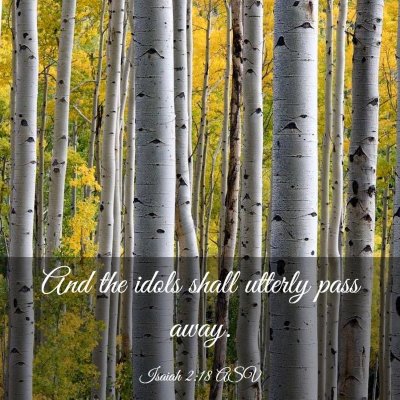 Picture 03 - Isaiah 2:18 ASV - And the idols shall utterly pass - Bible Verse Picture