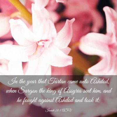 Picture 03 - Isaiah 20:1 ASV - In the year that Tartan came unto Ashdod, when - Bible Verse Picture