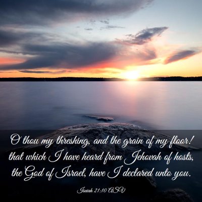 Picture 03 - Isaiah 21:10 ASV - O thou my threshing, and the grain of my floor! - Bible Verse Picture