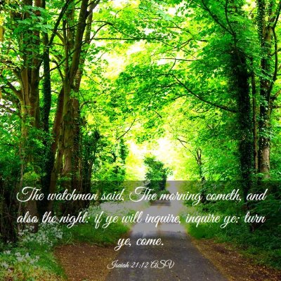 Picture 03 - Isaiah 21:12 ASV - The watchman said, The morning cometh, and also - Bible Verse Picture