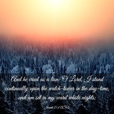 Picture 03 - Isaiah 21:8 ASV - And he cried as a lion: O Lord, I stand - Bible Verse Picture