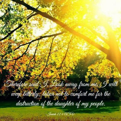Picture 03 - Isaiah 22:4 ASV - Therefore said I, Look away from me, I will weep - Bible Verse Picture