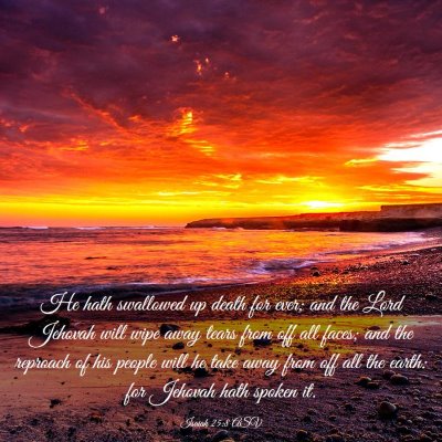 Picture 03 - Isaiah 25:8 ASV - He hath swallowed up death for ever; and the Lord - Bible Verse Picture