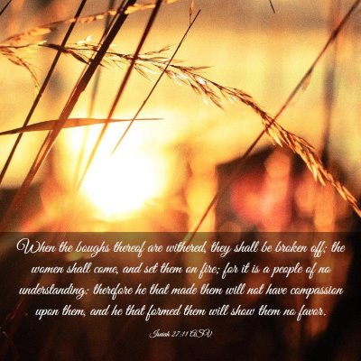 Picture 03 - Isaiah 27:11 ASV - When the boughs thereof are withered, they shall - Bible Verse Picture