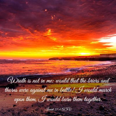 Picture 03 - Isaiah 27:4 ASV - Wrath is not in me: would that the briers and - Bible Verse Picture