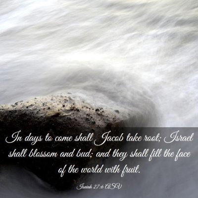Picture 03 - Isaiah 27:6 ASV - In days to come shall Jacob take root; Israel - Bible Verse Picture