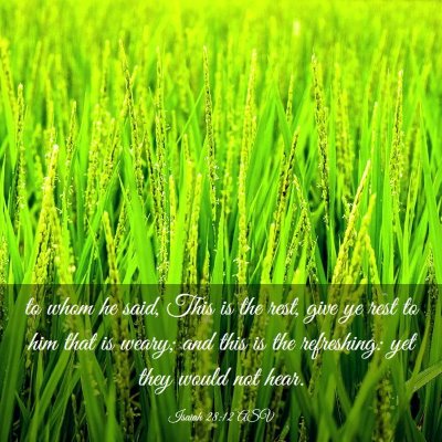 Picture 03 - Isaiah 28:12 ASV - to whom he said, This is the rest, give ye rest - Bible Verse Picture