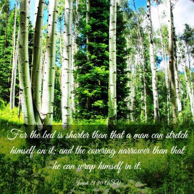 Picture 03 - Isaiah 28:20 ASV - For the bed is shorter than that a man can - Bible Verse Picture
