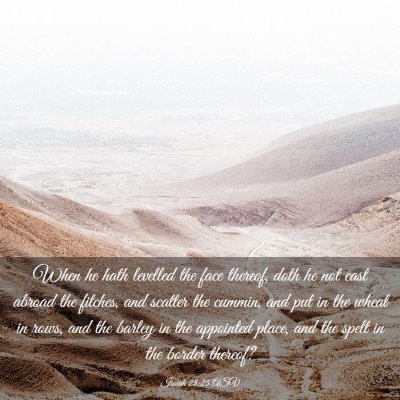 Picture 03 - Isaiah 28:25 ASV - When he hath levelled the face thereof, doth he - Bible Verse Picture