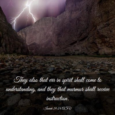 Picture 03 - Isaiah 29:24 ASV - They also that err in spirit shall come to - Bible Verse Picture
