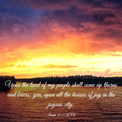 Picture 03 - Isaiah 32:13 ASV - Upon the land of my people shall come up thorns - Bible Verse Picture