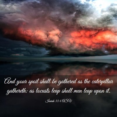 Picture 03 - Isaiah 33:4 ASV - And your spoil shall be gathered as the - Bible Verse Picture