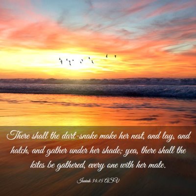 Picture 03 - Isaiah 34:15 ASV - There shall the dart-snake make her nest, and - Bible Verse Picture