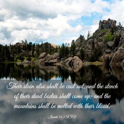 Picture 03 - Isaiah 34:3 ASV - Their slain also shall be cast out, and the - Bible Verse Picture