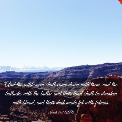Picture 03 - Isaiah 34:7 ASV - And the wild-oxen shall come down with them, and - Bible Verse Picture