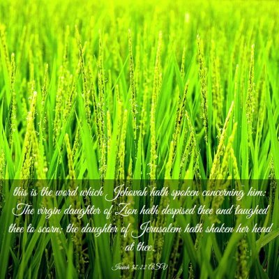 Picture 03 - Isaiah 37:22 ASV - this is the word which Jehovah hath spoken - Bible Verse Picture