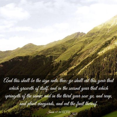 Picture 03 - Isaiah 37:30 ASV - And this shall be the sign unto thee: ye shall - Bible Verse Picture