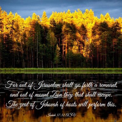 Picture 03 - Isaiah 37:32 ASV - For out of Jerusalem shall go forth a remnant, - Bible Verse Picture
