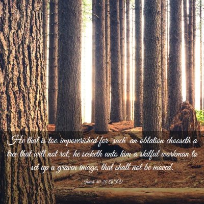 Picture 03 - Isaiah 40:20 ASV - He that is too impoverished for `such' an - Bible Verse Picture