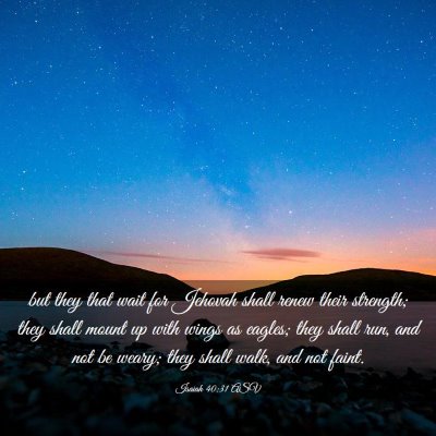 Picture 03 - Isaiah 40:31 ASV - but they that wait for Jehovah shall renew their - Bible Verse Picture