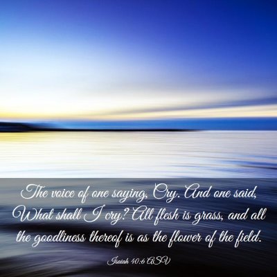 Picture 03 - Isaiah 40:6 ASV - The voice of one saying, Cry. And one said, What - Bible Verse Picture