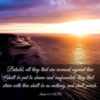 Picture 03 - Isaiah 41:11 ASV - Behold, all they that are incensed against thee - Bible Verse Picture