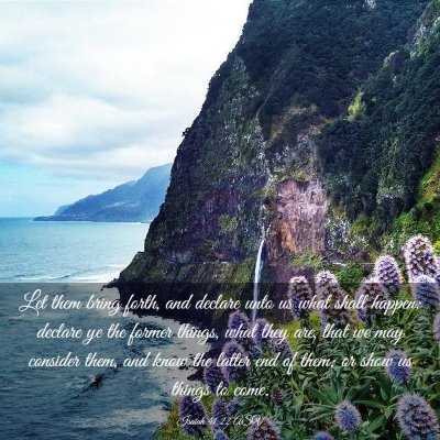 Picture 03 - Isaiah 41:22 ASV - Let them bring forth, and declare unto us what - Bible Verse Picture