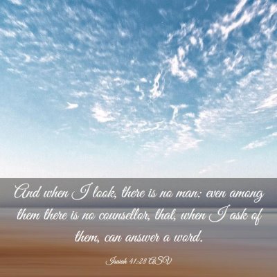 Picture 03 - Isaiah 41:28 ASV - And when I look, there is no man: even among them - Bible Verse Picture
