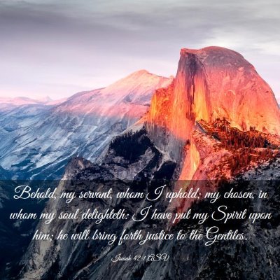 Picture 03 - Isaiah 42:1 ASV - Behold, my servant, whom I uphold; my chosen, in - Bible Verse Picture