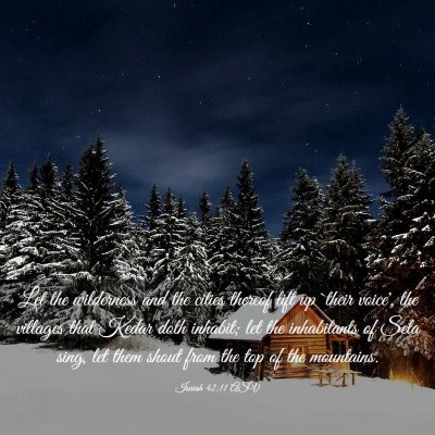 Picture 03 - Isaiah 42:11 ASV - Let the wilderness and the cities thereof lift up - Bible Verse Picture