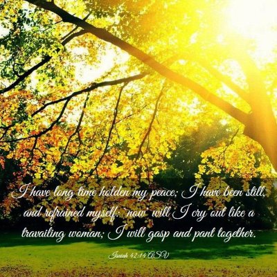 Picture 03 - Isaiah 42:14 ASV - I have long time holden my peace; I have been - Bible Verse Picture
