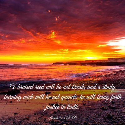 Picture 03 - Isaiah 42:3 ASV - A bruised reed will he not break, and a dimly - Bible Verse Picture