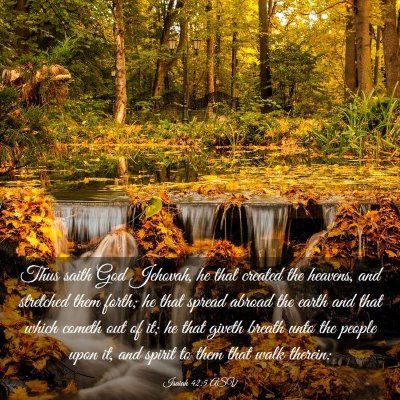 Picture 03 - Isaiah 42:5 ASV - Thus saith God Jehovah, he that created the - Bible Verse Picture