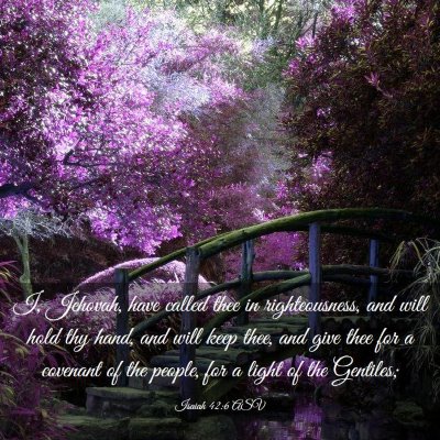Picture 03 - Isaiah 42:6 ASV - I, Jehovah, have called thee in righteousness, - Bible Verse Picture