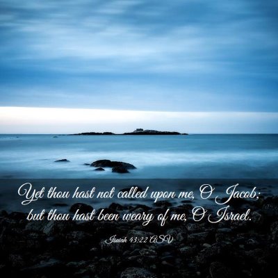 Picture 03 - Isaiah 43:22 ASV - Yet thou hast not called upon me, O Jacob; but - Bible Verse Picture